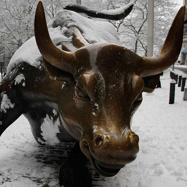 Bulls